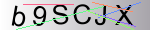 Saisir le code présent dans l'image pour continuer